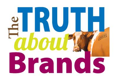 The Truth About Brand Stories